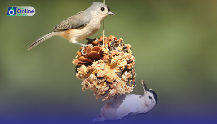 Lesson 03: Nostalgia and Nature: The Symbolism of the Cuckoo-bird's Song